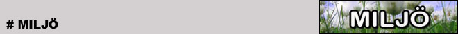 � emotorsport.se